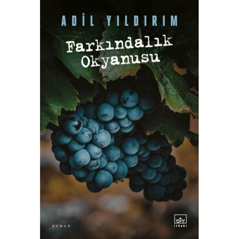 Farkındalık Okyanusu Farkındalık Okyanusu