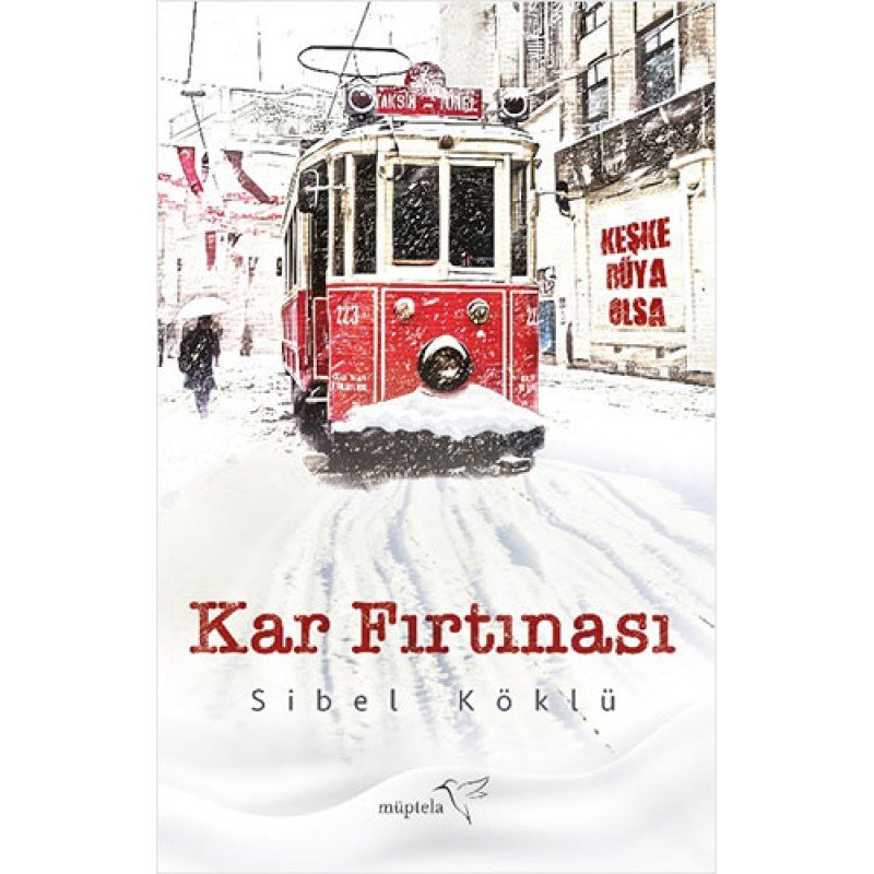 Kar Fırtınası Kar Fırtınası